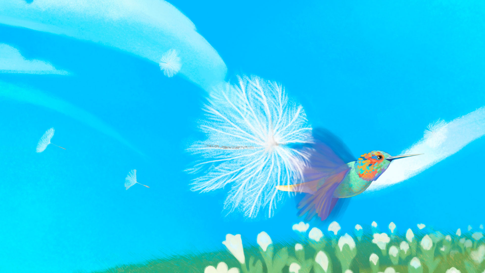 HUMMINGBIRD_animation_afetreffects_racoonstudio_1
