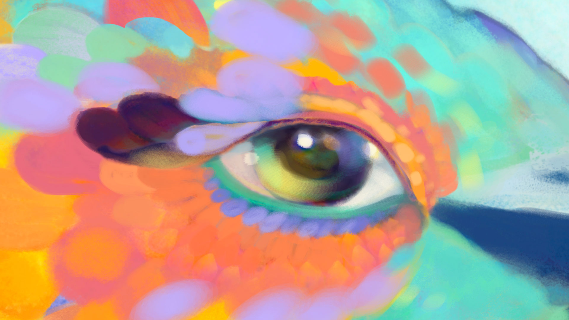 HUMMINGBIRD_animation_afetreffects_racoonstudio_2
