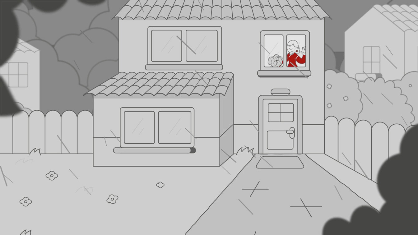 CORE_REDCLICK_GENERTEL_animation_racoonstudio_7