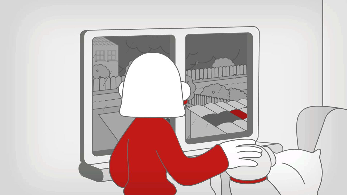 CORE_REDCLICK_GENERTEL_animation_racoonstudio_9